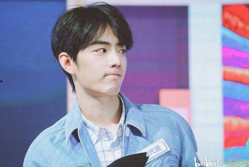 肖战最新事件新爆料,深度揭秘背后真相与影响