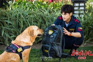 神犬小七第三季在线观看