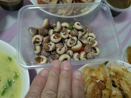 石家庄吃炒酸奶爆料视频,一口下去，酸奶与水果的完美融合！